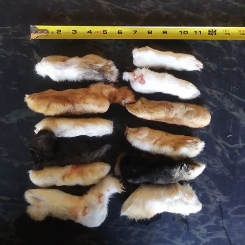 Raw Rabbit Feet